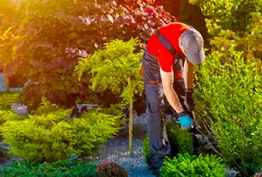 pomoshnik-po-xozyaistvu