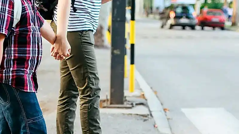 Няня для сопровождения ребенка из школы