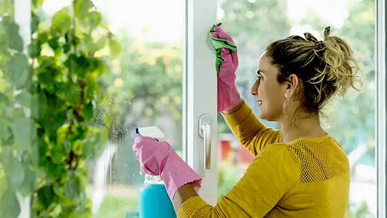 domrabotnica-na-vyxodnye